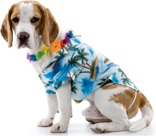 hawaiian dog outfit