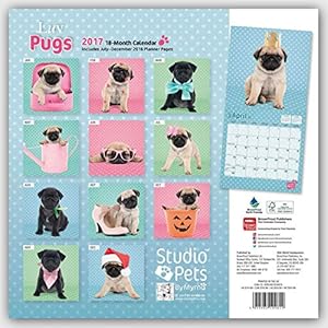 Luv Pugs - Möpse 2017 - 18-Monatskalender