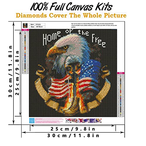 Eagle Diamond Painting,Flag Diamond Art ,Diamond Painting Eagle and Flag Home Wall Decor Gift 14x14 inch