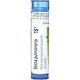 Boiron Sticta Pulmonaria 15C for Nasal Congestion with Sinus Pain from Cold or Allergy - 80 Pellets