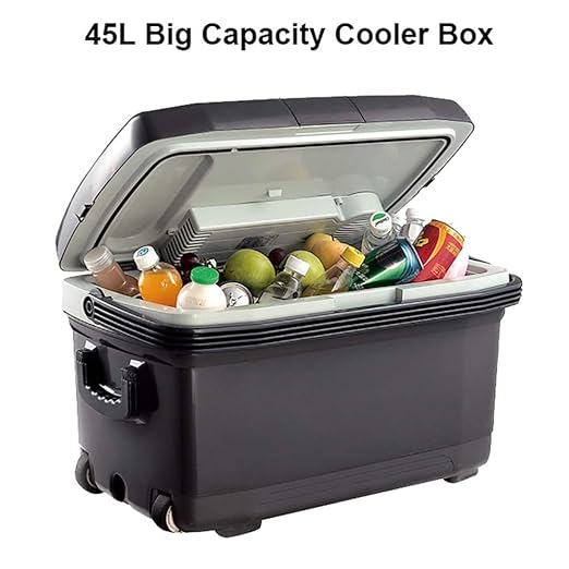 Amazon.es: 45-L Nevera Termoeléctrica Nevera Portatil Electrica ...