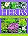 An Illustrated Encyclopedia of Herbs: A comprehensive A-Z of herbs and their uses with 700 color photographs by 