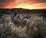 Image de Treasured Lands: A Photographic Odyssey Through America's National Parks