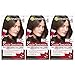 Garnier Color Sensation Hair Color Cream, 5.1 Medium Ash Brown, 3 Count (Packaging May Vary)