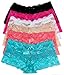 Barbra Lingerie Multi Pack of Women's Regular & Plus Size Lace Boyshort Panties