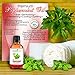 Real Peppermint Essential Oil :: Pure Undiluted (2oz)