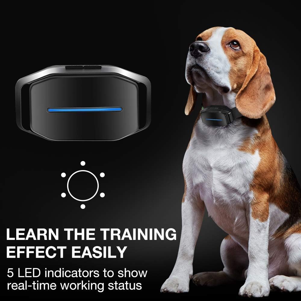DOG CARE Automatic Bark Collar-Comfortable Dog bark Collar, Easy to use with beep, Vibration & Shock Modes, Very Effective and Humane Dog Shock Collar with 5 Adjustable Sensitivity Levels, No Remote : Kitchen & Dining