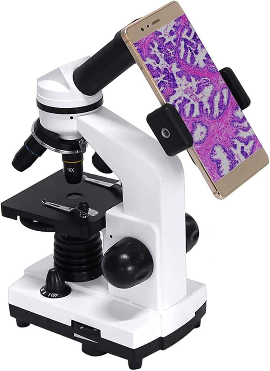 Loupe electronique Microscope 40x 1600x Grossissement, étudiant de