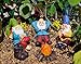 Twig & Flower The Relax Garden Gnomes by The Campfire (Five Piece) Fairy Campfire Mini Gnomes Set Gnomes Decor Fairy Garden Camper Gnome Gifts Designed