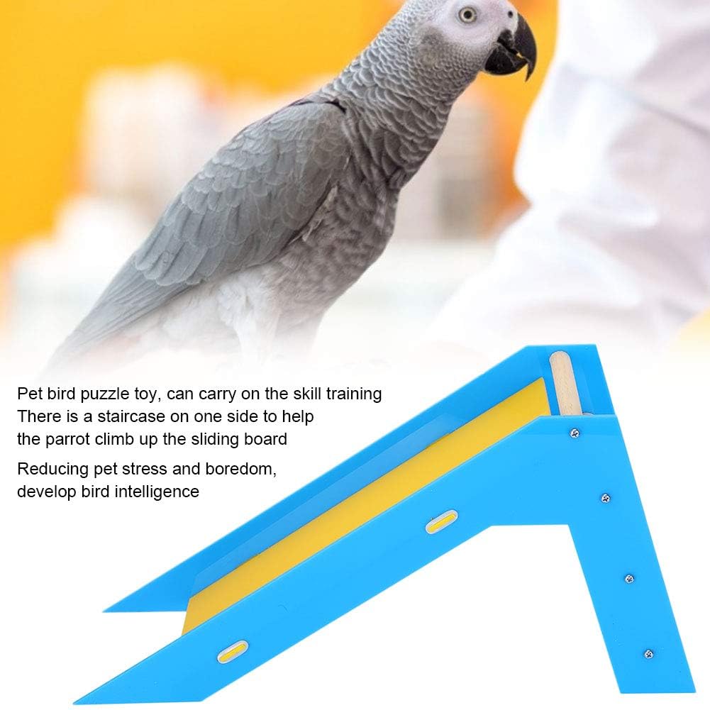 Parrot Slide Toys Bird Training Educational Toys Parrot Climbing Ladders Perches Toys for Parakeet Budgie Cockatiel Conure Lovebird Finch - Image 5