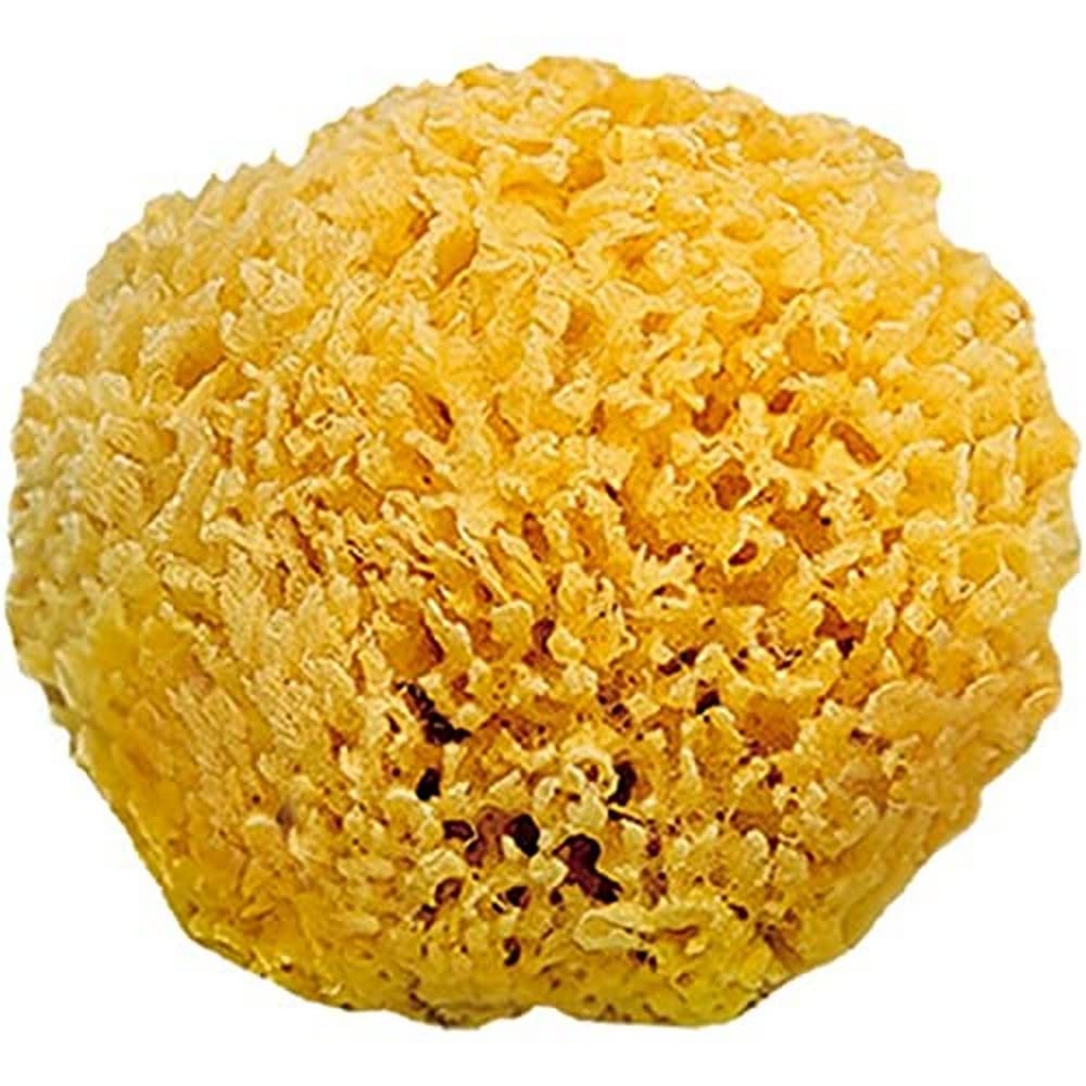 SARO – Saro 75291029 Natural Sponge 0 M +
