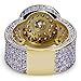 JINAO Gold Ring 18k Gold Plated Cluster Hip Hop Iced Out Lab Simulated Diamond Micro Pave CZ Pinky Ring Jewelry for Men Women