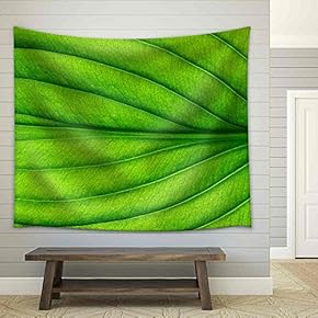 Close Up of Green Leaf Texture - Fabric Wall Tapestry Home Decor - 51x60 inches