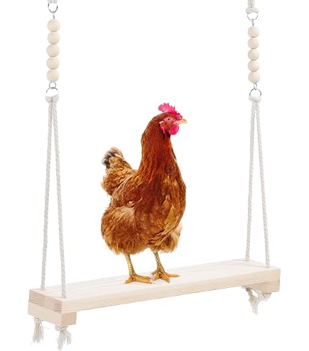 Balançoire En Bois Pour Poules - Jouet D'enrichissement Pour Poulailler - Coq Et Poule - Accessoire Ludique En Plein Air