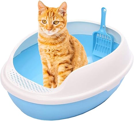 Maison De Toilette Pour Chat Tong Type Oeuf Chat Toilette Litiere Fournitures Pour Animaux De Compagnie Type Ouvert En Forme D Oeuf Amazon Fr Animalerie