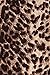 Always Women's Juniors Full Length Brown Leopard Print Stretch Leggings