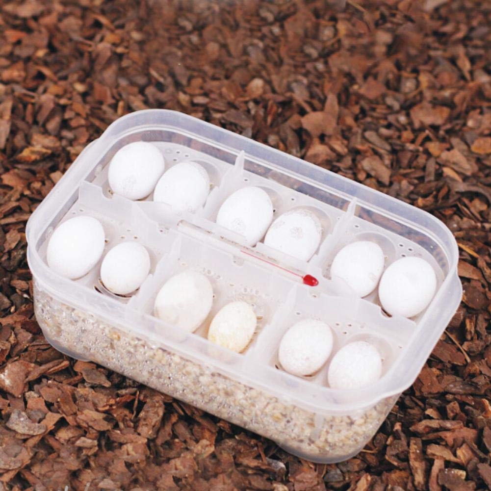 Reptile Egg Incubator Transparent Plastic Gecko Snakes Lizards Reptiles Eggs Breeding Incubator Tray Reptile Egg Breeding Hatchery Box with Thermometer