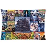 Custom Zippered Pillow Cases 20x30 (Twin sides)-Harry Potter Custom Rectangle Pillowcase Nice Classic Book Cover Collage Creative by ormanvill