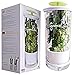 Glass Herb Keeper - Anti-leakage fresh herb container - Free paleo recipe eBook - Herb storage holder keeps herbs fresh and green for up to 2 Weeks