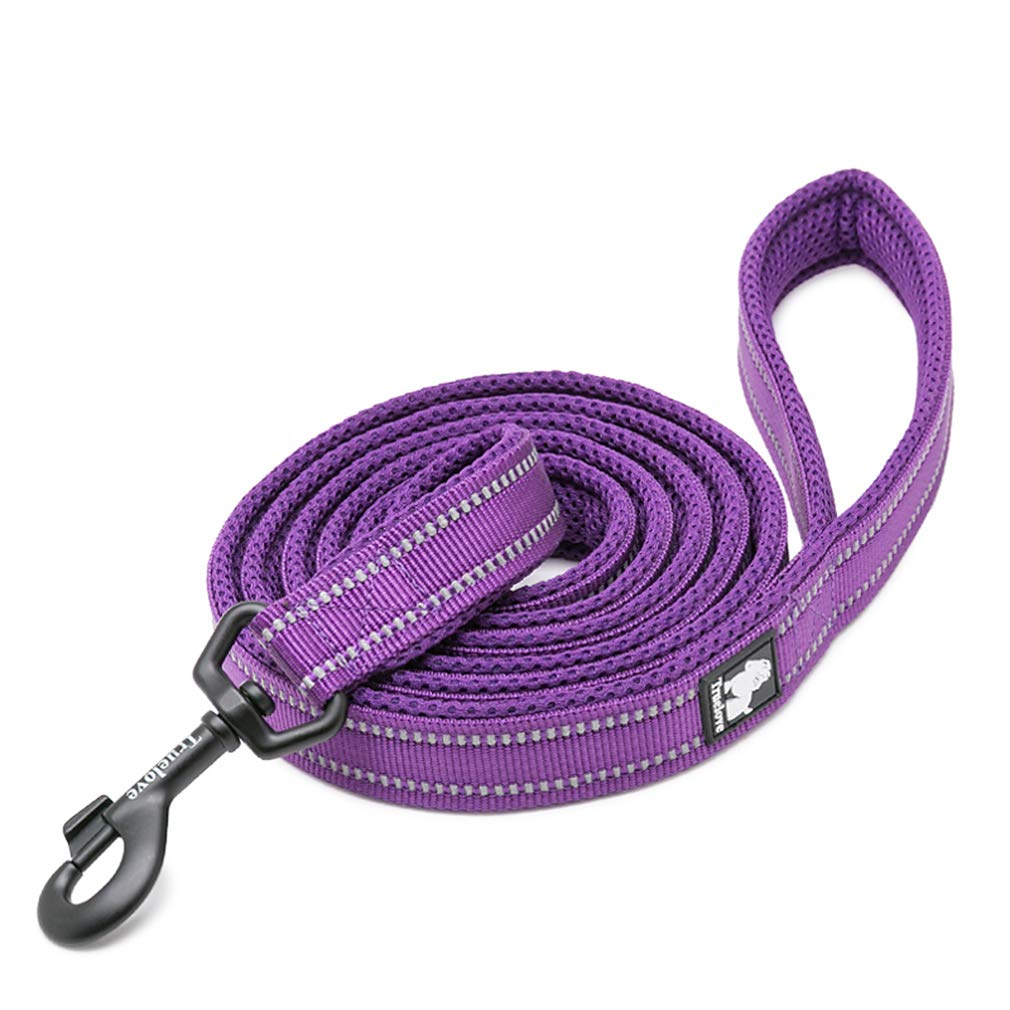 WINHYEPET True Love Dog Leash Nylon Sandwich Fabric comfort Reflective Safety Washable Dogs Belt Suitable for all Kinds of Dog Breeds Length 200cm Can be used together with Harness (Purple,M)