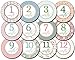 Shabby Chic Baby Monthly Stickers - Shower Gift or Scrapbook Photo Keepsake