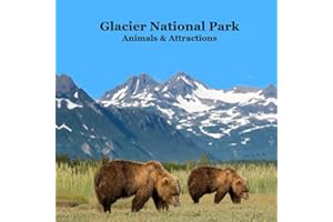 Glacier National Park Animals and Attractions Kids Book: Great Way to See the Glacier Park Animals and Attractions