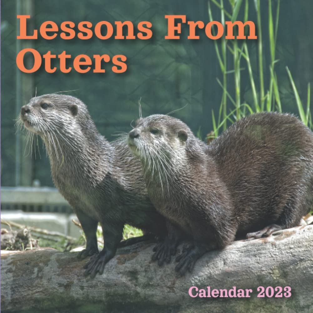 Otter Calendar 2023 Tzikszfp9Xeqhm