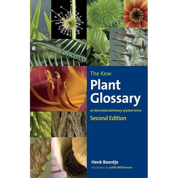 趣味・スポーツ・実用 Succulents The Illustrated Dictionary 趣味・スポーツ・実用 Succulents The Illustrated Dictionary