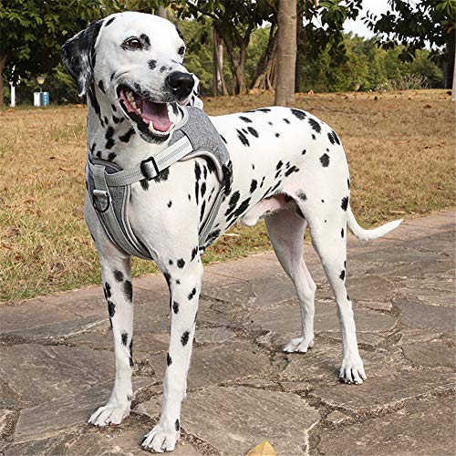 JSM Nylon Reflective No Pull Dog Vest Harness with Soft Padded Well-Matched Most Leash for Training Small Medium Large Dog