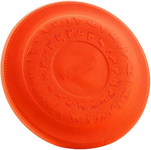 water frisbee flying disc