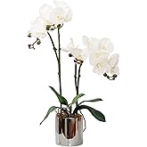 CXGS Artificial Orchid Flower Plant Real Touch Faux Orchids in Ceramic Vase White 19.7'' Fake Phalaenopsis Flower Arrangement Centerpiece Home Indoor Decor