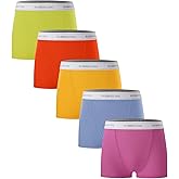 BAMBOO COOL Womens Bamboo Boxer Briefs Underwear Soft Stretch Boy Shorts Panties for Women