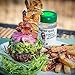 Flavor God Garlic Lovers Seasoning Mix Kosher Gluten & Dairy Free Vegan Keto-Friendly Spice Blend, Natural Healthy Seasoning For Grilling Chicken, Beef, Rice, Seafood, Vegetables, Salad, Pizza, Pasta