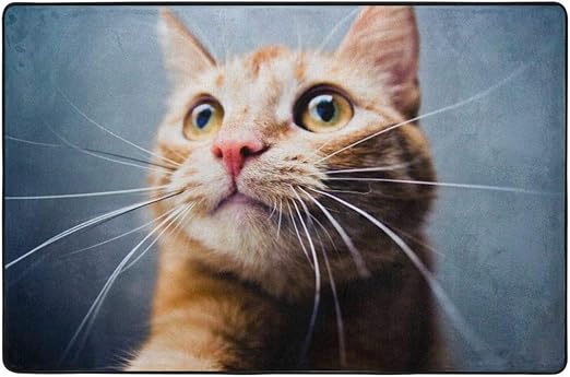 Amazon Co Jp ラグ マット ねこ かわいい ねこ柄 カーペット 絨毯 じゅうたん 敷マットインテリア おしゃれ 柄付き 滑り止め リビング 72 X48 ホーム キッチン