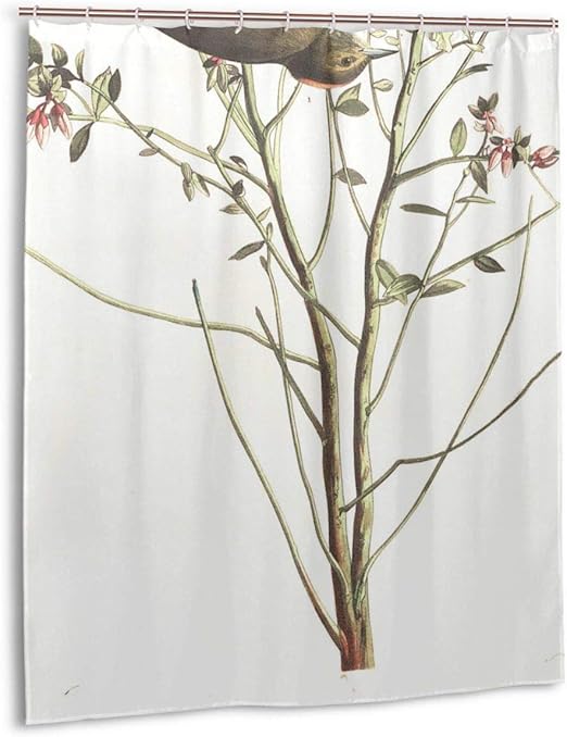 Ufiner Cute Birds Fir Tree Branches Shower Curtain
