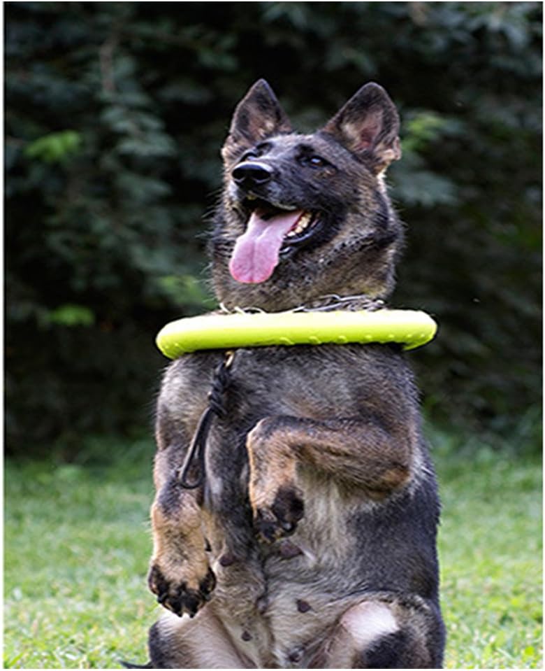 Large Dog Toys Ring Water Floating, Outdoor Fitness Flying Discs, Tug of War Interactive Training Ring for Medium and Big Dogs, 12 inch - Image 5