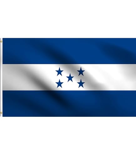 DMSE Estlandische Nationalflagge – 60x90 Cm, 100% Polyester, Doppelt Genäht, UV-beständig, Mit 2 Metallösen
