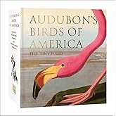 Audubon's Birds of America: The Tiny Folio