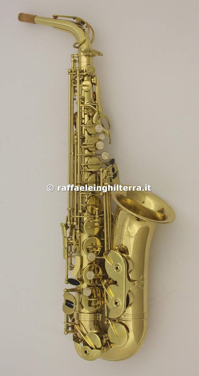Roy Benson Eb Student Alto Saxophone Amazon.ca Musical Instruments