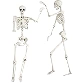 Fun Costumes 5 Ft Posable Realistic Skeleton | Life Sized Halloween Decor Indoor/Outdoor