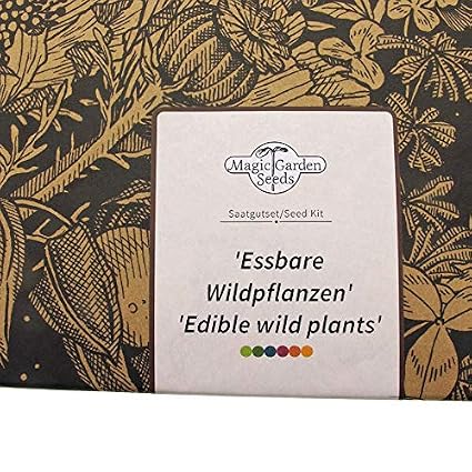 Magic Garden Seeds Kit de Semillas Regalo: Hortalizas Silvestres ...