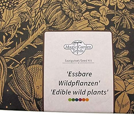 Magic Garden Seeds Kit de Semillas Regalo: Hortalizas Silvestres ...
