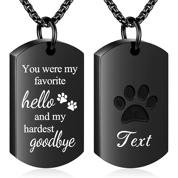 Pet Cat Heart Memorial Cremation Ashes Urn Pendant Necklace - Stainless
