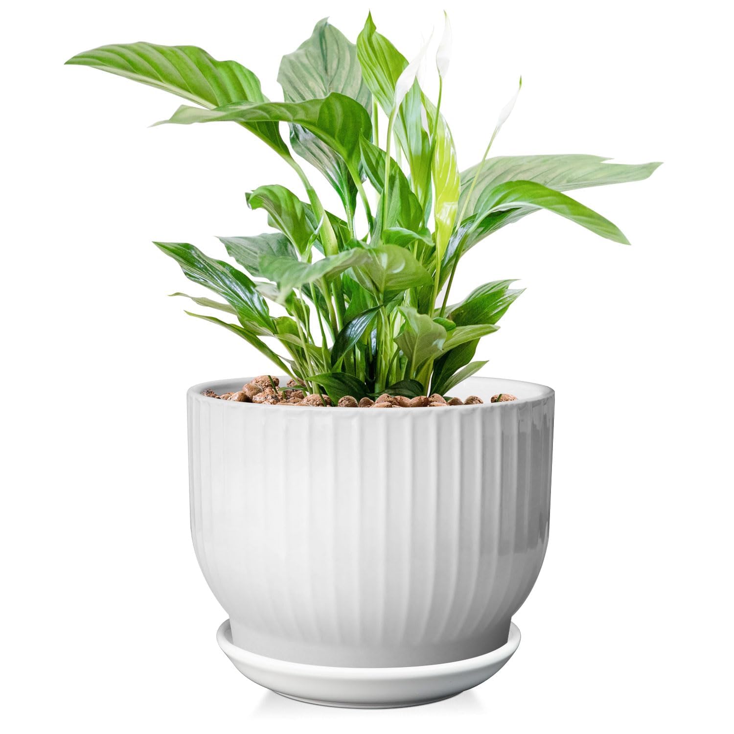 Photo 1 of YUFDA 8 Inch Plant Pot,Ceramic Planter with Drainage and Saucer,Ceramic Pots for Plants,Indoor Plant pots,Ceramic Flower pots(Pure White, Plants NOT Included)