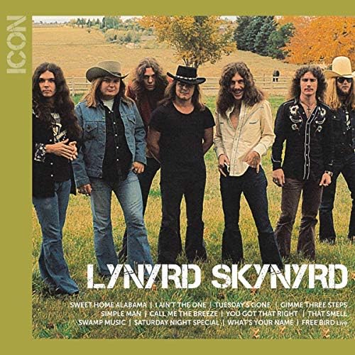 Lynyrd Skynyrd - Street Survivors/Gold - Amazon.com Music