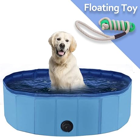 swimming dog bath toy