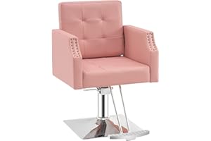 BarberPub Classic Salon Chair for Hair Stylist,Hydraulic Barber Styling Chair,Beauty Salon Spa Equipment 8818 (Pink)