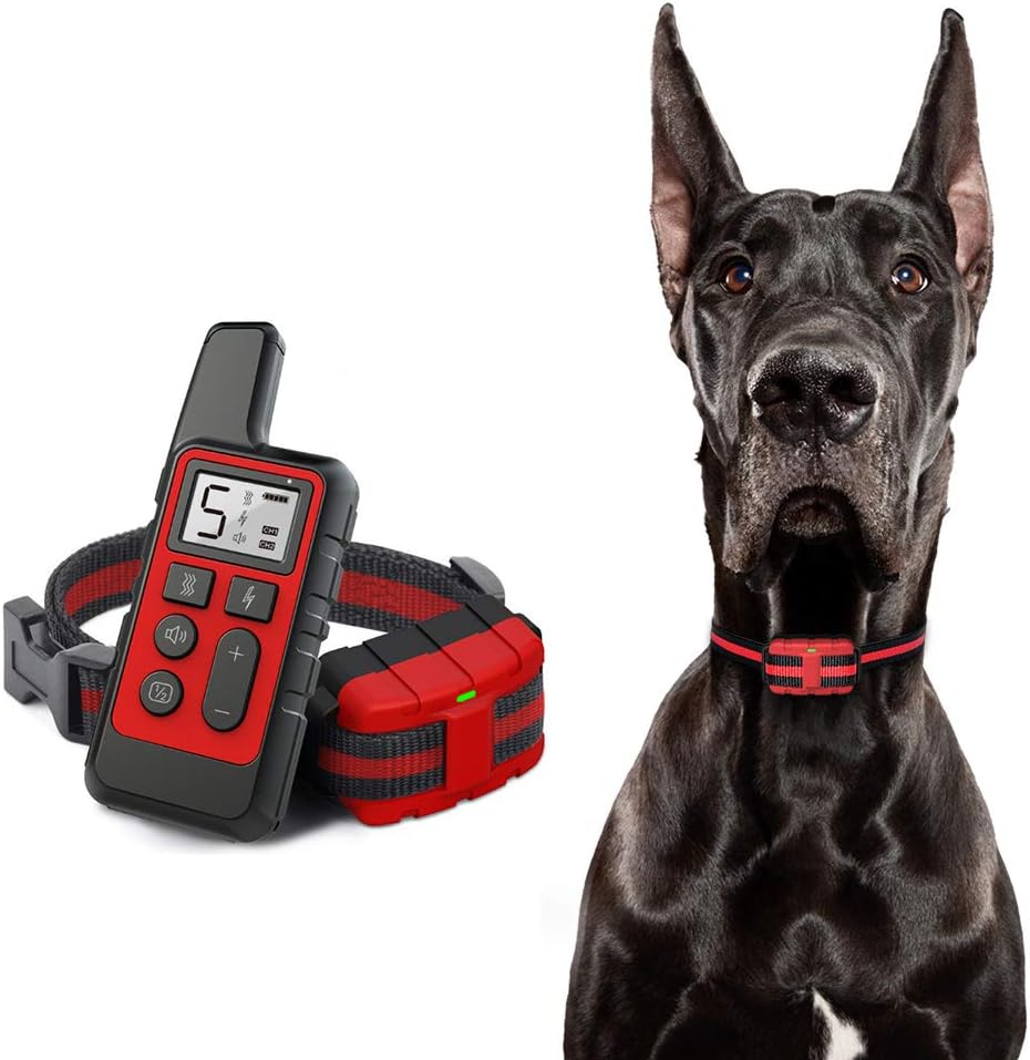 great dane bark collar
