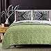 Barefoot Bungalow Twyla Midnight Quilt Set, 3-Piece Full/Queen