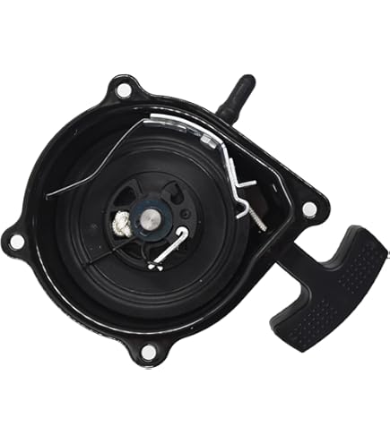 Amazon.com: labwork Pull Start Starter Recoil Replacement for